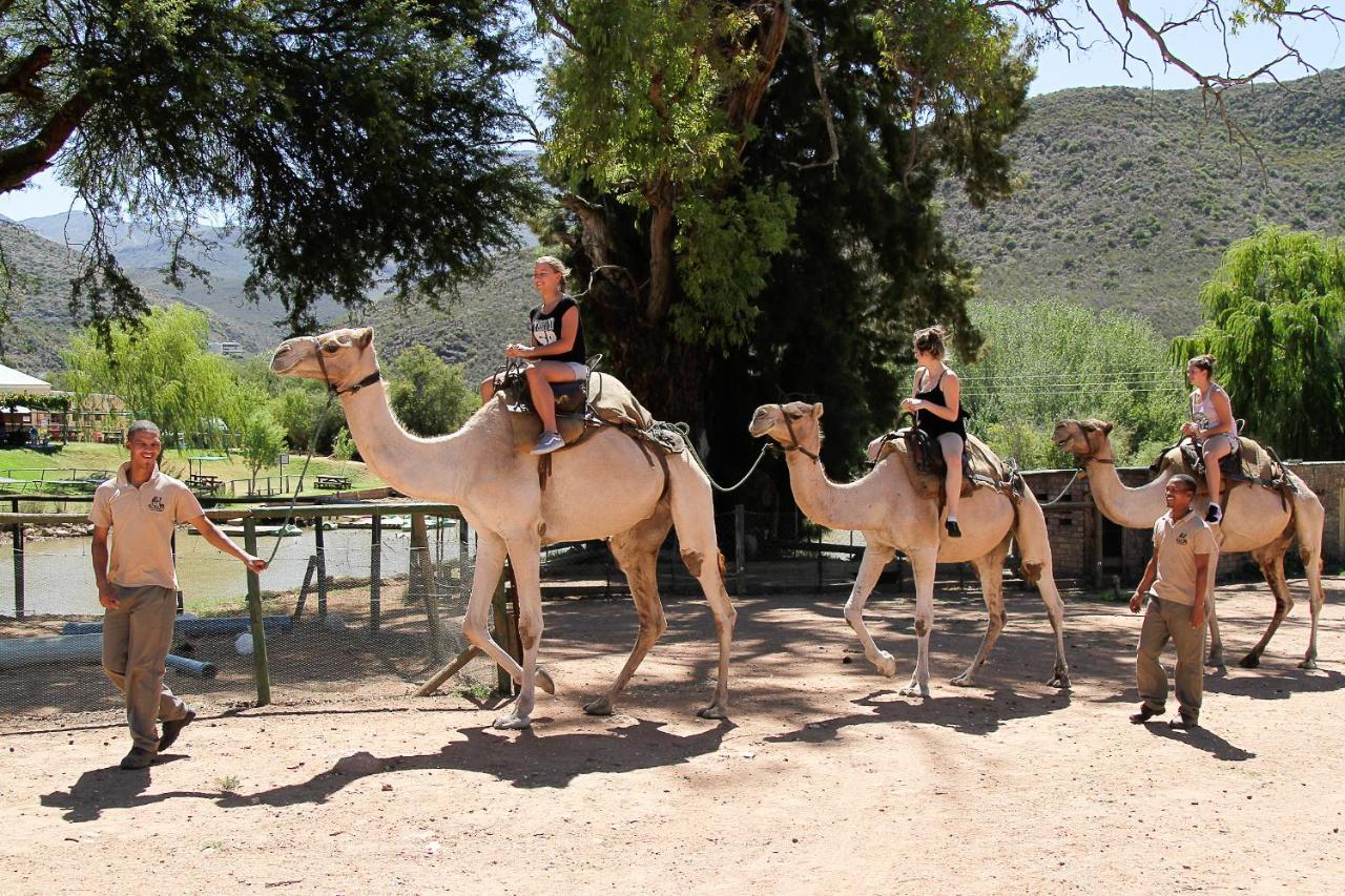 Wilgewandel Holiday Farm & Day Restaurant Oudtshoorn Exterior foto
